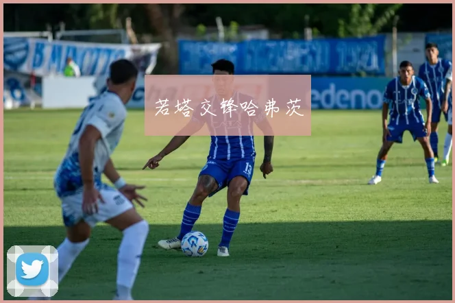 开云Kaiyun综合app网站登录 - 若塔交锋哈弗茨