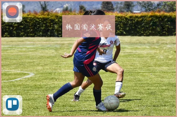 开云Kaiyun综合app网站登录 - 韩国淘汰赛夜