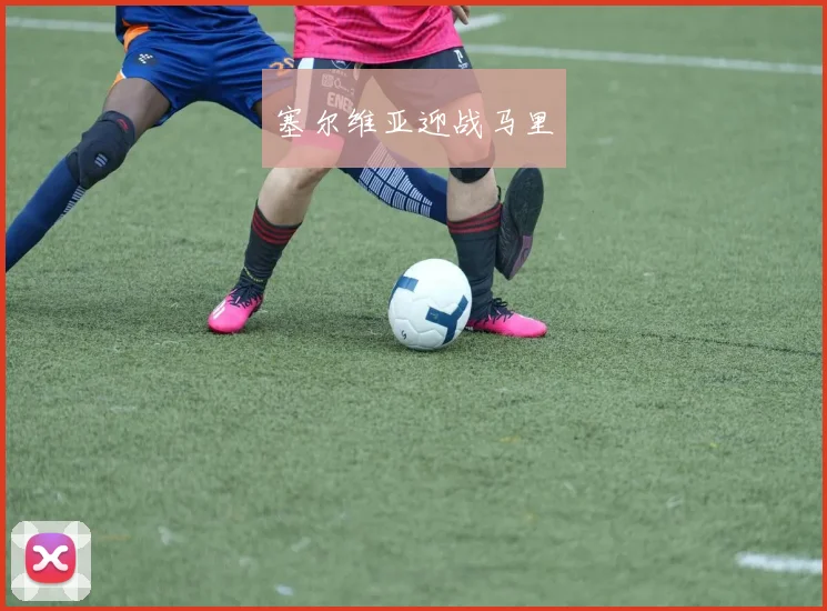 开云Kaiyun综合app网站登录 - 塞尔维亚迎战马里