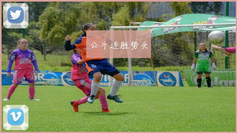 开云Kaiyun综合app网站登录 - 公牛连胜势头