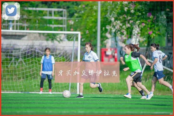 开云Kaiyun综合app网站登录 - 牙买加交锋伊拉克