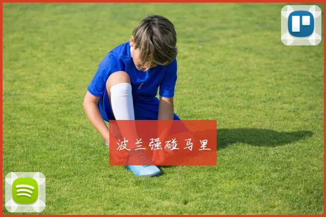 开云Kaiyun综合app网站登录 - 波兰强碰马里
