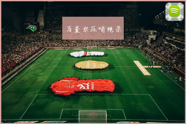 开云Kaiyun综合app网站登录 - 马奎尔压哨绝杀