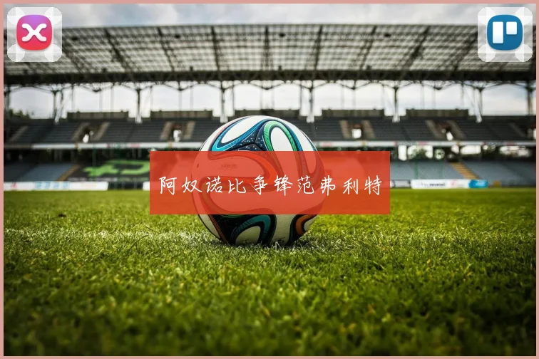 开云Kaiyun综合app网站登录 - 阿奴诺比争锋范弗利特