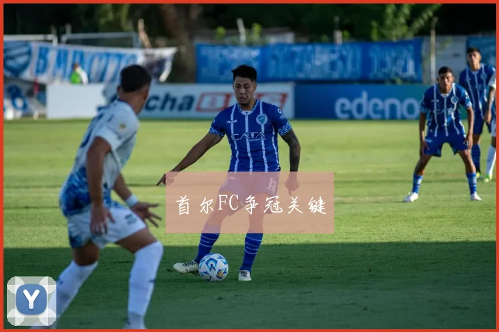开云Kaiyun综合app网站登录 - 首尔FC争冠关键