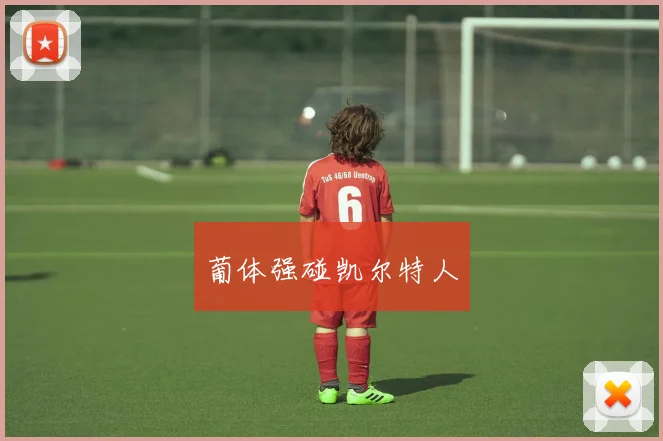 开云Kaiyun综合app网站登录 - 葡体强碰凯尔特人