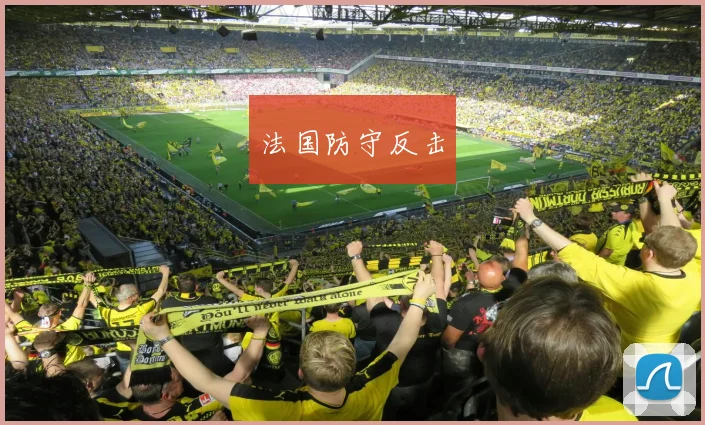 开云Kaiyun综合app网站登录 - 法国防守反击