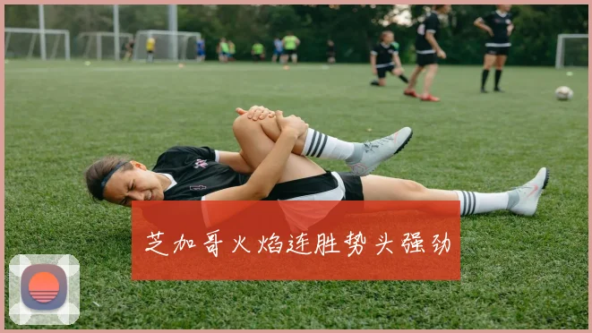 开云Kaiyun综合app网站登录 - 芝加哥火焰连胜势头强劲