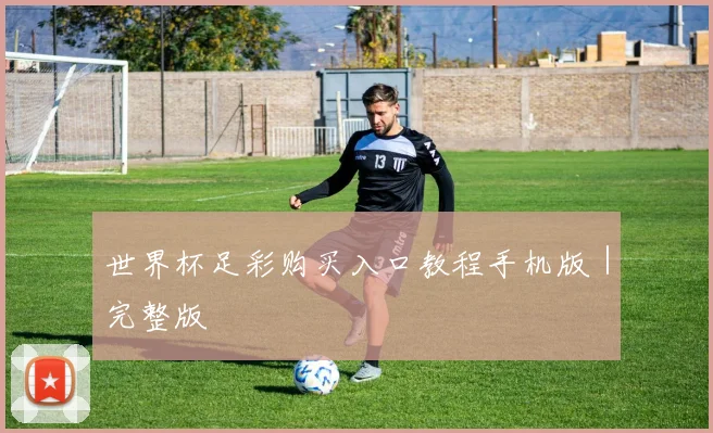 开云Kaiyun综合app网站登录 - 世界杯足彩购买入口教程手机版｜完整版