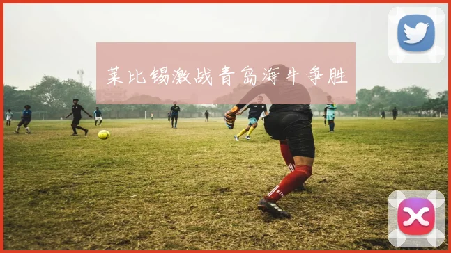 开云Kaiyun综合app网站登录 - 莱比锡激战青岛海牛争胜