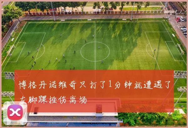 开云Kaiyun综合app网站登录 - 博格丹诺维奇只打了1分钟就遭遇了左脚踝挫伤离场