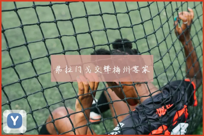 开云Kaiyun综合app网站登录 - 弗拉门戈交锋梅州客家
