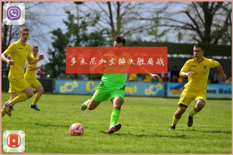 开云Kaiyun综合app网站登录 - 多米尼加女排决胜局战