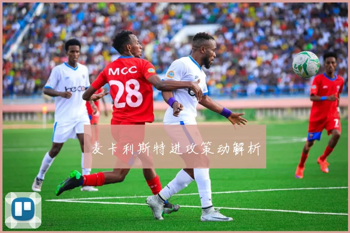 开云Kaiyun综合app网站登录 - 麦卡利斯特进攻策动解析