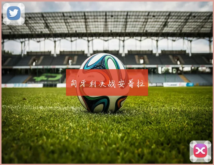 开云Kaiyun综合app网站登录 - 匈牙利决战安哥拉
