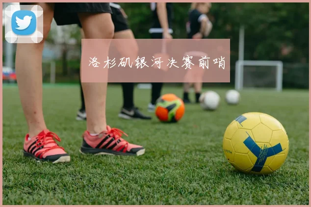 开云Kaiyun综合app网站登录 - 洛杉矶银河决赛前哨