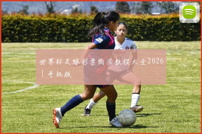 开云Kaiyun综合app网站登录 - 世界杯足球彩票购买教程大全2026｜手机版