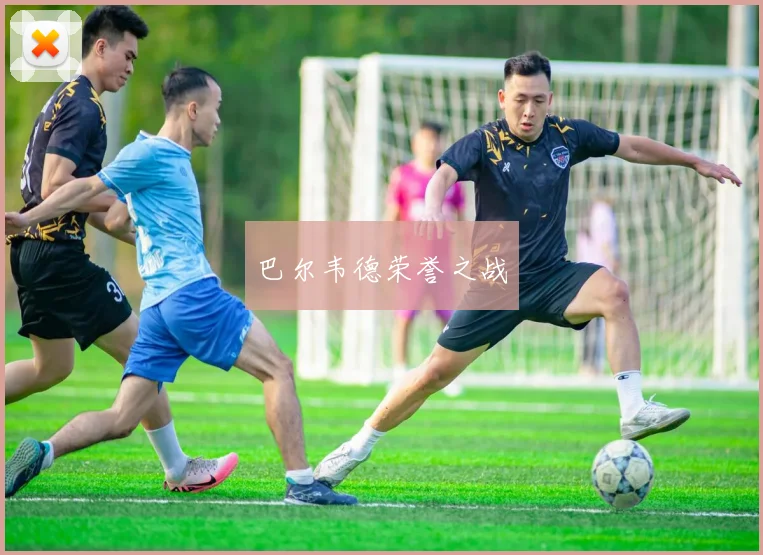 开云Kaiyun综合app网站登录 - 巴尔韦德荣誉之战