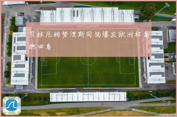 贝林厄姆努涅斯同场爆发欧洲杯高燃回看