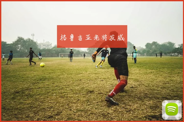 开云Kaiyun综合app网站登录 - 格鲁吉亚老将发威
