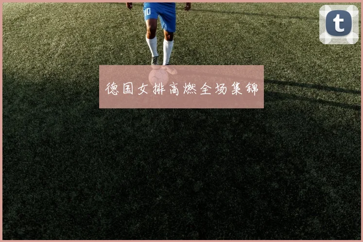 开云Kaiyun综合app网站登录 - 德国女排高燃全场集锦