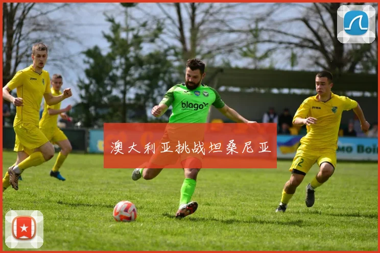 开云Kaiyun综合app网站登录 - 澳大利亚挑战坦桑尼亚
