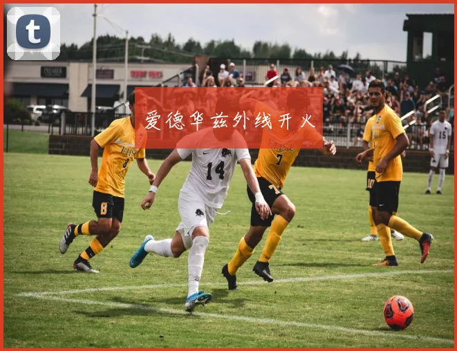 开云Kaiyun综合app网站登录 - 爱德华兹外线开火
