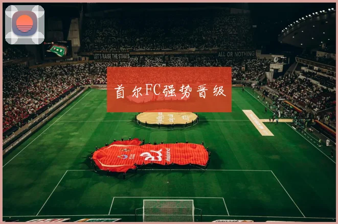 开云Kaiyun综合app网站登录 - 首尔FC强势晋级