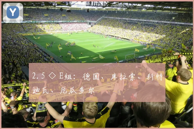 开云Kaiyun综合app网站登录 - 2.5 ◇ E组：德国、库拉索、科特迪瓦、厄瓜多尔