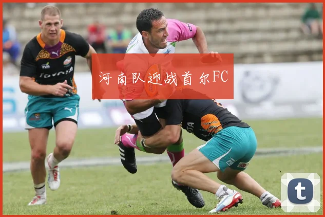 开云Kaiyun综合app网站登录 - 河南队迎战首尔FC