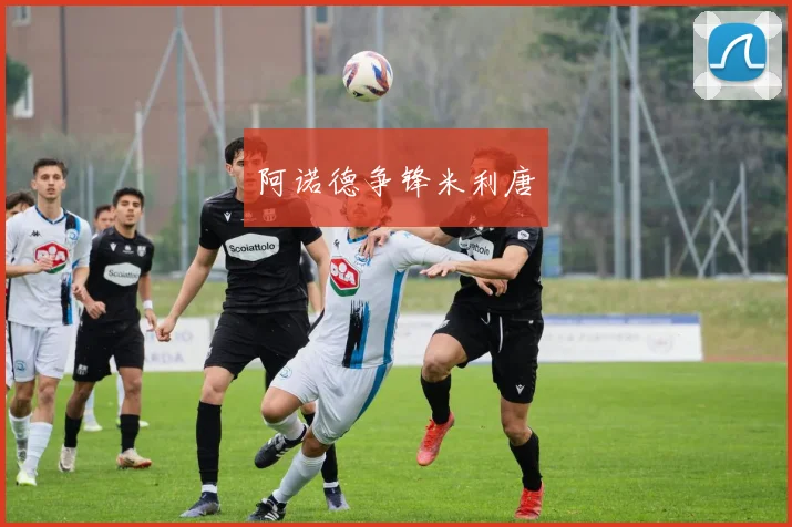 开云Kaiyun综合app网站登录 - 阿诺德争锋米利唐