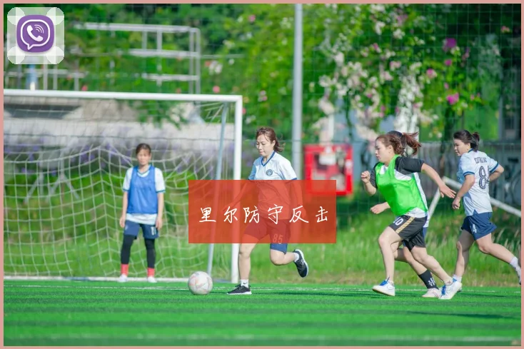 开云Kaiyun综合app网站登录 - 里尔防守反击