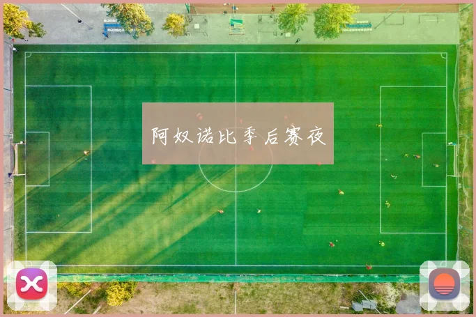 开云Kaiyun综合app网站登录 - 阿奴诺比季后赛夜