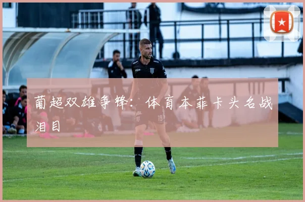 葡超双雄争锋：体育本菲卡头名战泪目