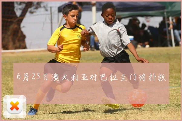 6月25日澳大利亚对巴拉圭门将扑救