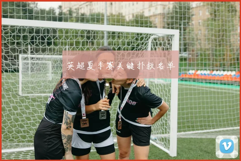 英超夏季赛关键扑救名单